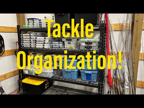 My Tackle Organization System!! (How Do You Organize Your GEAR