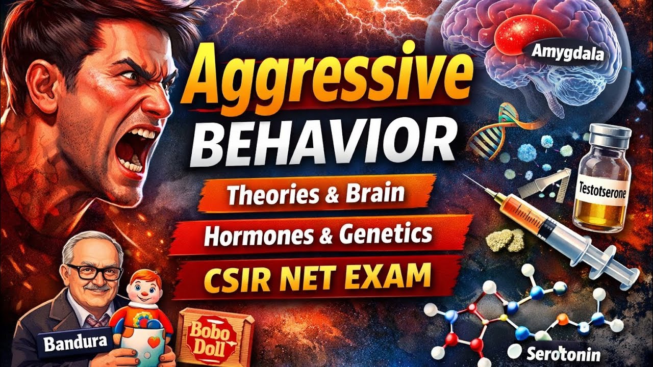 Aggressive Behavior | Theories, Brain & Hormones | CSIR NET Life ...