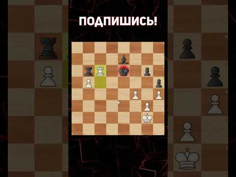 Гениальная ничья От Чемпиона Мира!