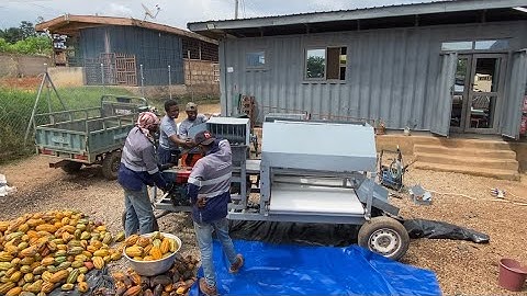 Why They Built This Multi Million Cocoa Pod Breaking Machine For Cocoa Farmers In Ghana 🇬🇭