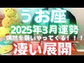 【魚座 3月 何これ凄い👀】 偶然を装い凄い展開がやってくる 星座別 #カードリーディング