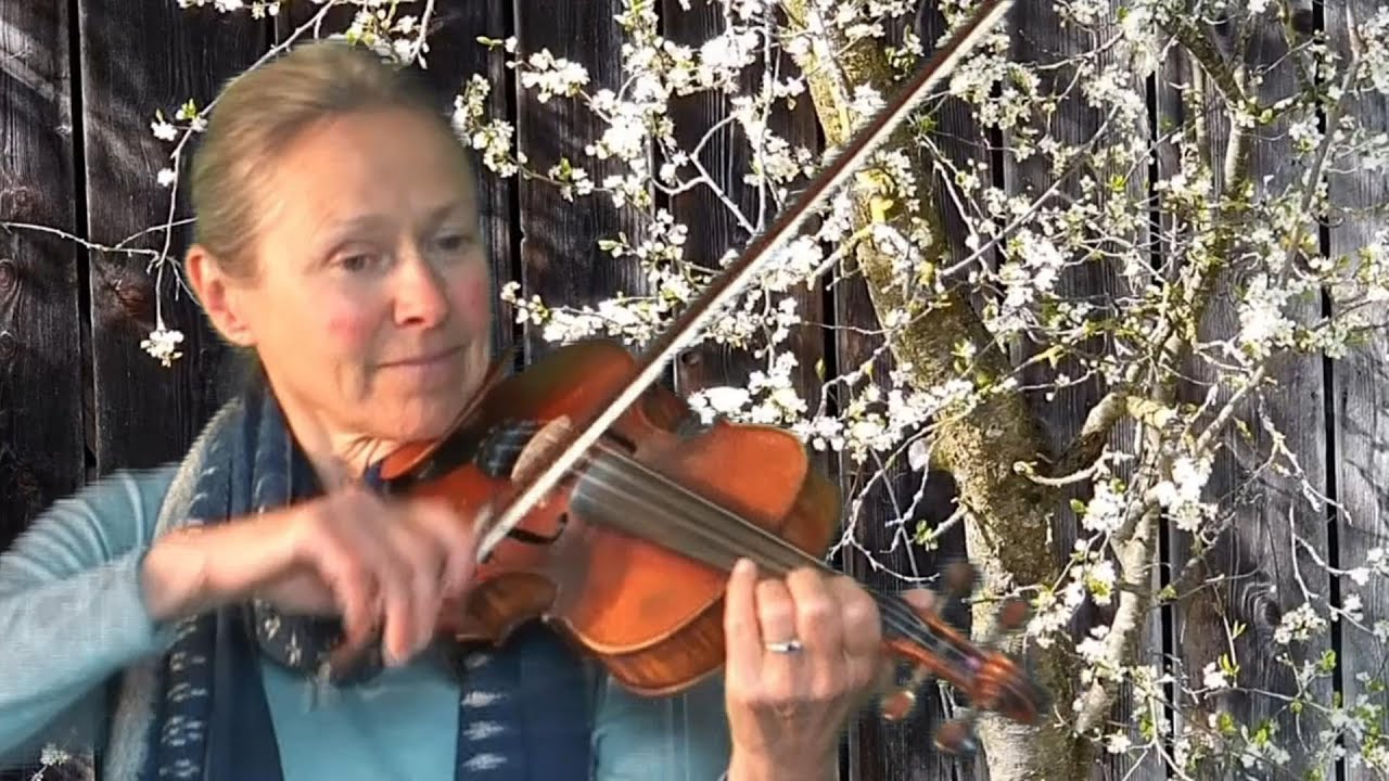 Skrap-Ollas polska (Värmland)