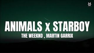 ANIMALS x STARBOY _ THE WEEKND,MARTIN GARRIX (Lyrics) MUSIC WORLD 2.0