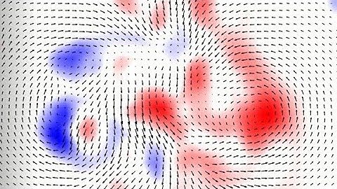 PIV Vorticity Analysis of a 2D Vortex Dipole in a Density Stratified Fluid