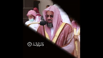 قُلۡ هُوَ ٱللَّهُ أَحَد ٌ- سورة الأخلاص - الشيخ سعود الشريم