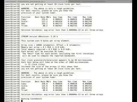 Linux running benchmark tests as guest in Xvisor on Raspberry Pi Soc