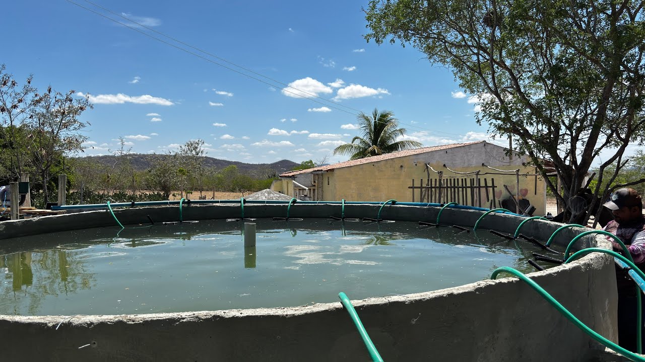 SISTEMA DE PISCICULTURA EM RAS COM CAPACIDADE PARA 1 TONELADA POR CICLO - PIRANHAS/AL