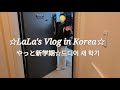 【在韓17年目Vlog】冬休み最終日に慌てて用意する準備物/朝ご飯が楽しみの健康診断/サムギョプサル Ep.129