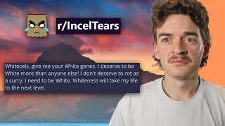 Why are incels the way they are (Compilation!)