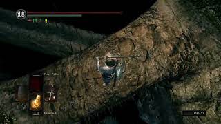 Getting 100% completion with only the Claymore in Dark Souls 1 (Part 5)