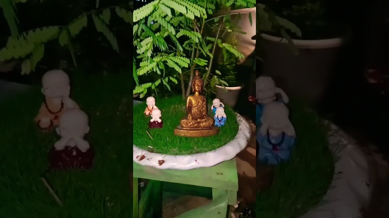 Night view of my garden.