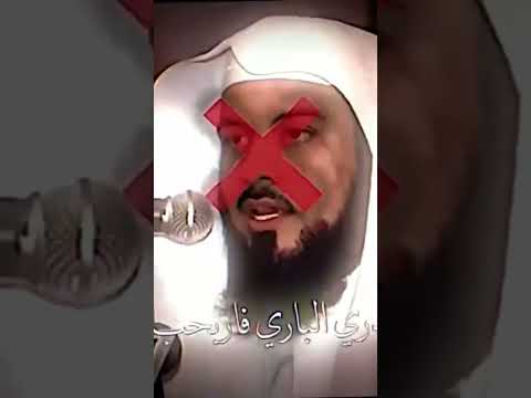شلون يا جاهلي تحجي على الولي اشتراك اشهد ان عليا ولي الله علي الامام علي 