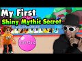 I got my first shiny mythic secret pet today in roblox bubble gum simulator