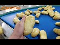 Potato washing drying grading packing line, potato washing machine, potato sizer, potato calibration