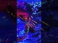 HD EDIT | How To Train Your Dragon Edit