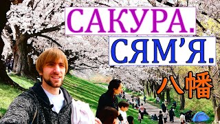 картинка: Явата. У цені Кіёта/Явата. В тени Киото
