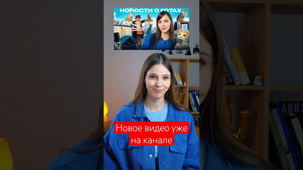 Это очень весело! 🤩 #котики #веселыекоты