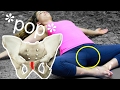How To Crack Your Pubic Symphysis ★ Gentle DIY Pelvic Adjustment ★ Groin Pain Relief
