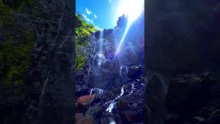 Just Music, Pure Vibes ✨| This Sound is Addictive 🎶 #energyboost #edm #turnupthemusic #dancemusic