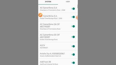 Iden Trust Public Root CA1 Mode Enable on Android Phone