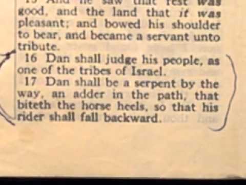 9. LOCUST = "DAN SHALL BE A SERPENT BY THE WAY"