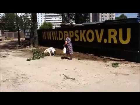 Голод не тётка...)))