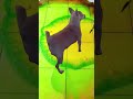 Colour water balloon Reverse #shorts #video #viral #trending #asmr #sr #balloon #shortvideos #funny