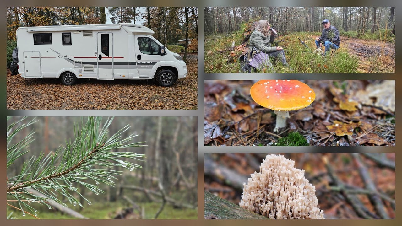 Heerlijk weekend op de Jagerstee #241