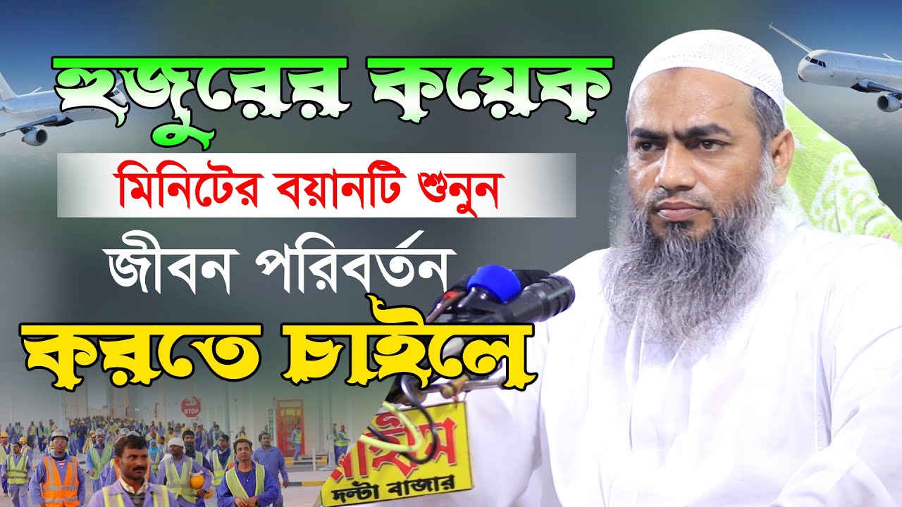 Lanet mommies, kamming ustidan mushuk Lanet mommies, kamming ustidan mushuk