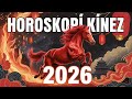 Horoskopi Kinez Për Vitin 2026 Për Të Gjitha Shenjat