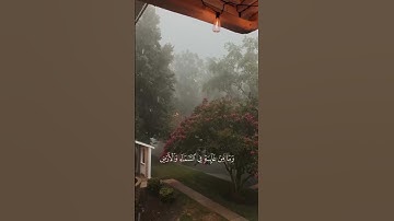 اكتب شيء تؤجر عليه | سوره النمل