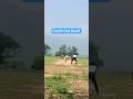 Batsman - Sunil Himirika || Catch Out || Bowlerman - Devendra Huika || Catch || Patraput Stadium 🏟