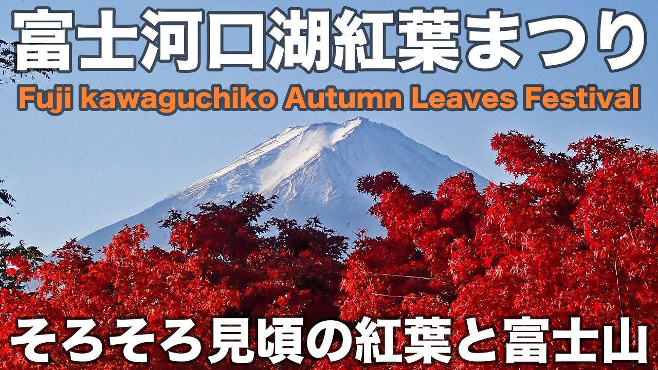 富士河口湖紅葉まつり[Fuji kawaguchiko Autumn Leaves Festival] 2025