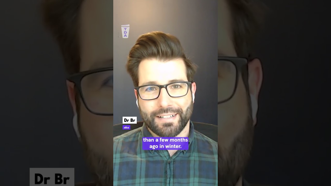 Куда деваются мухи зимой? | The Daily Aus