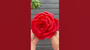 Wow! Beautiful Idea Rose Crepe Paper Flower DIY Decoration Craft