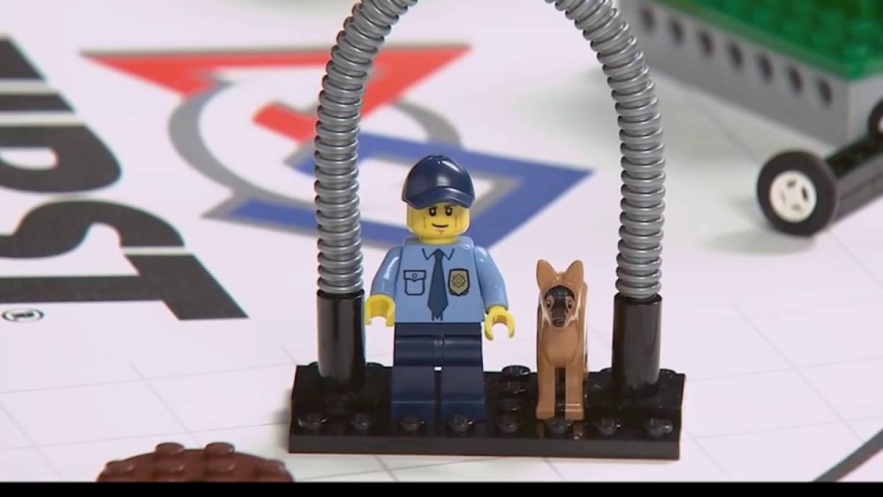 FLL Animal Allies Full Review 2017 - YouTube