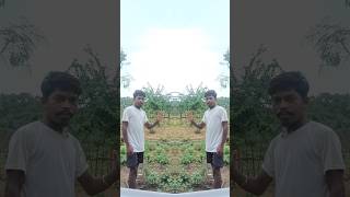 Thepo Chatbe newnagpurisong2025 nagpuri newnagpuri2025 jharkhand nagpurisong view