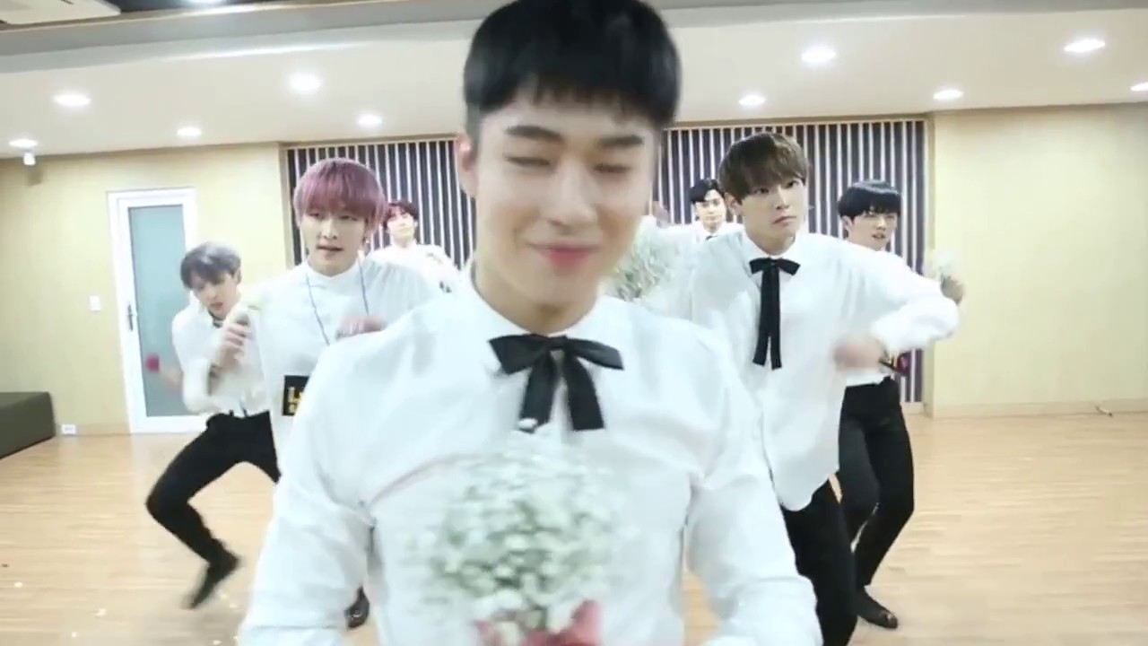 SF9 - ROAR (What You Probably Didn't Notice / Fangirl Version) [Requested]