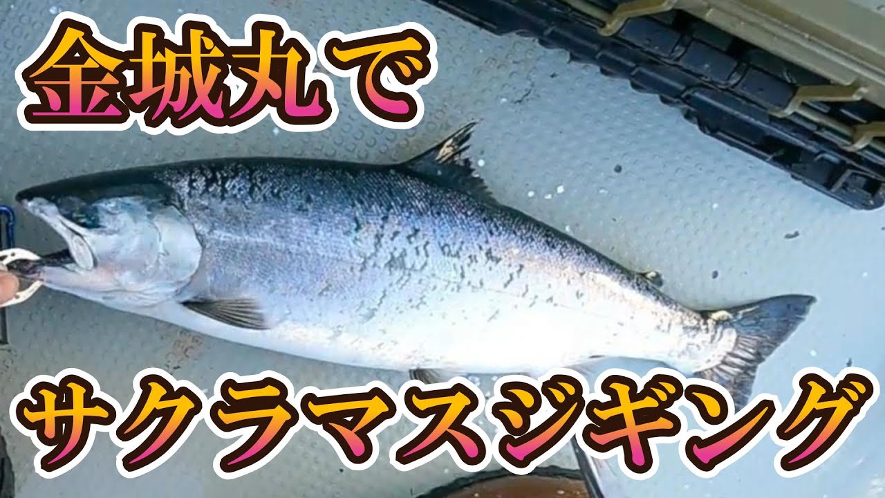 爆釣！！津軽海峡サクラマスジギング！