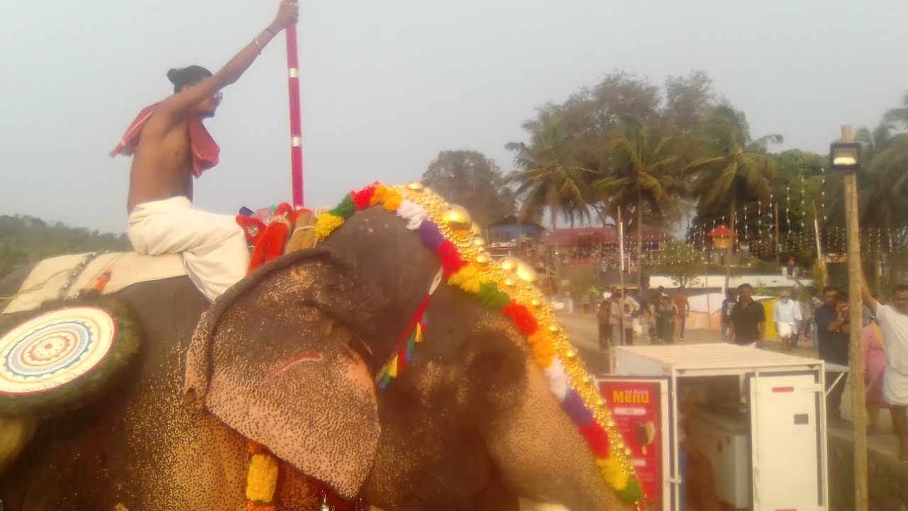 Kulappully Thripetta Kavu pooram2026