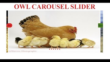 Web Design and Development | Bangla Tutorial | LEDP | kh Muhib | Class-33-d22 | OWL CAROUSEL SLIDER