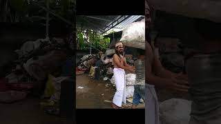 Download Lagu samsudin mau kawin #shorts MP3