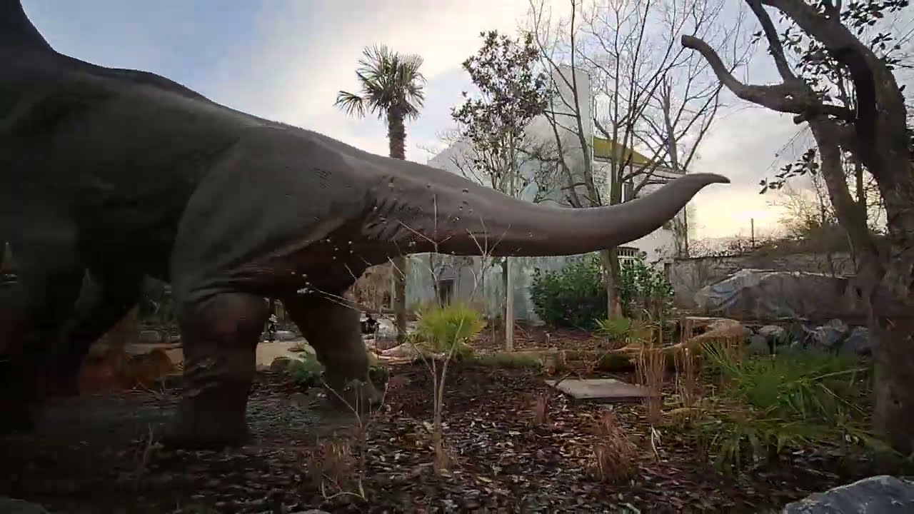 CAMBRON-CASTEAU --- PAIRI DAIZA --- STOOMTREINRIT 18 minuten, route 2,3 km --- ZA. 07-02-2026, 16u31