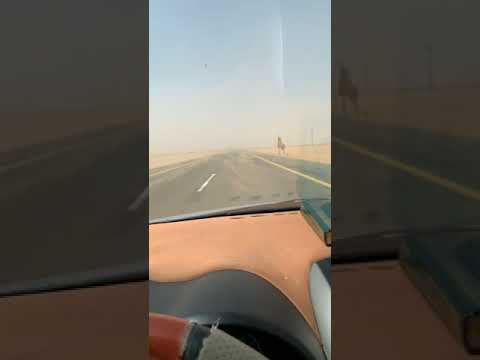 صحراء الربع الخالي يامسافر على خط الوديعة 