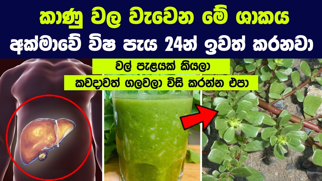 Health health