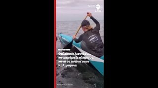 Θαλάσσιο λιοντάρι τρόμαξε πλήρωμα κανό σε αγώνα στην Καλιφόρνια