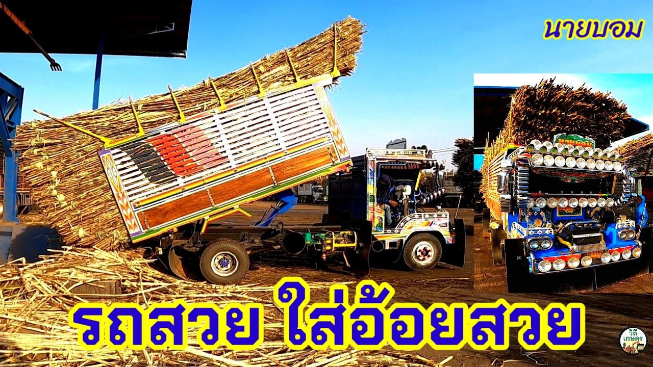 อีแต๋น ดั๊มอ้อย โรงงาน น้ำตาล (นายบอม จักราช)