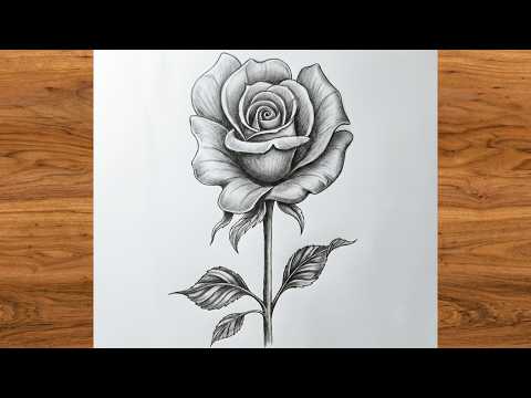How to Draw a Rose Flower | Simple Pencil Sketch with Shading