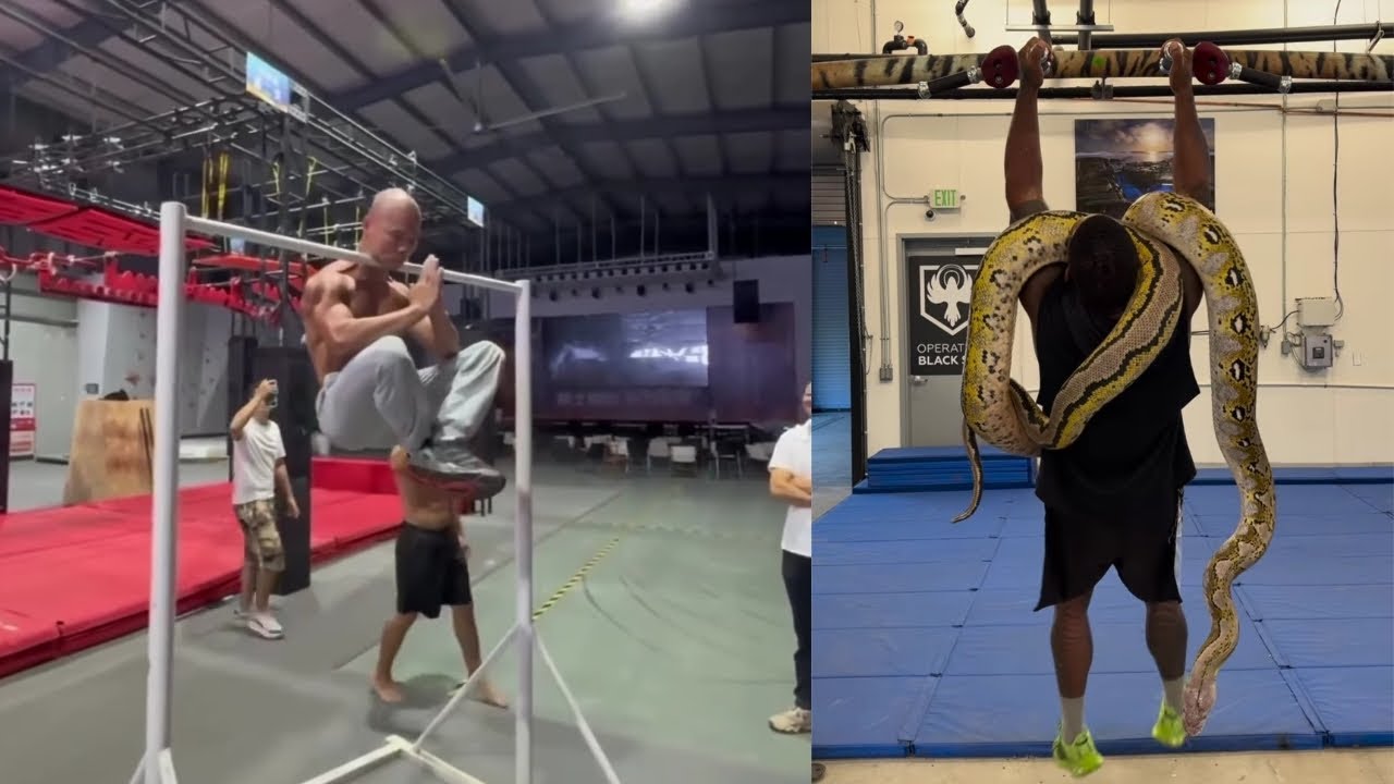Snake in Gym with Snake Weight What’s the Point? - YouTube