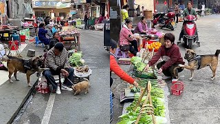 Highly intelligent dogs line up to buy vegetables🥬